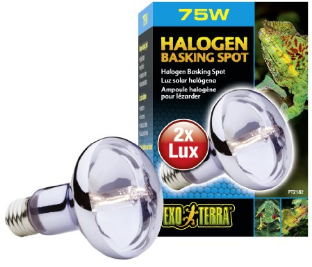 Exo Terra Sun Glo Halogen Basking Spot Lamp – 75W Reptile Light Bulb, Broad Spectrum Daylight, Enhances Coloration, Promotes Health, PT2182