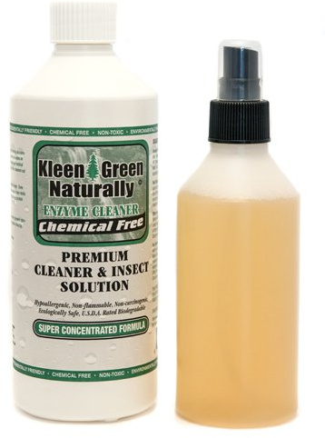 Kleen Green Enzymes Natural Home disinfectant Cleaner 16oz Concentrate + 8oz Spray control fleas & mites.