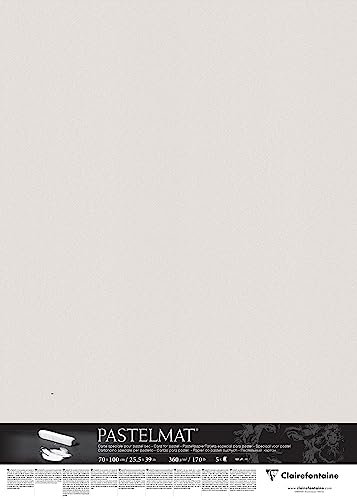 Clairefontaine 296020C Packung (mit 5 Zeichenbögen Pastelmat, 70 x 100 cm, 360 g, ideal für Trockentechniken und Pastell) hellgrau