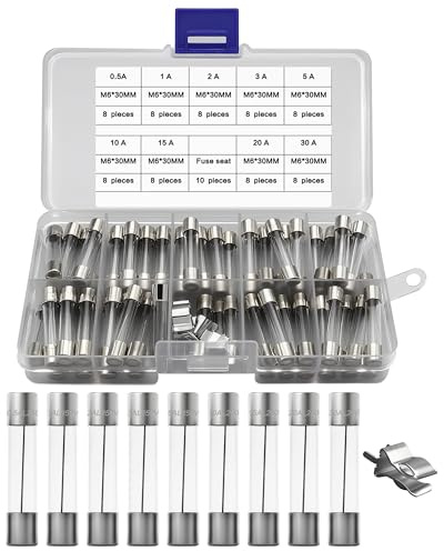 IZTOSS 72Pcs Fast Blow Glass Fuse Assortment Kit 6x30mm Automotive Fuses 250V 0.5A 1A 2A 3A 5A 10A 15A 20A 30A Glass Fuses and 10Pcs Fuse Seat, Sort and Package in Transparent Plastic Boxes