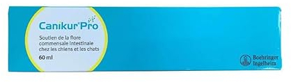 Canikur Pro Paste Syringe - 60ml, clear