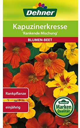 Dehner Blumen-Saatgut, Kapuzinerkresse, Rankende Mischung, 5er Pack (5 x 10 g)