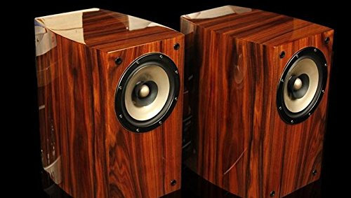 GOWE Haut-parleurs pour bibliothèque HiFi Full Fréquence