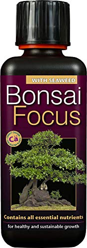 Growth Technology Ltd Bonsai Focus Feed, Black, 300ml