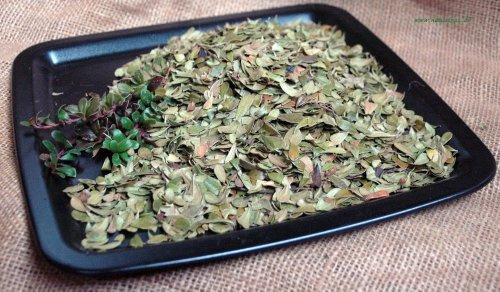 Naturix24 – Bärentraubenblättertee, Bärentraubenblätter ganz – 100 g Beutel