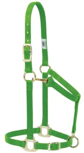 Weaver Leather Original justerbar hästgrimma i nylon, normalstor häst, lime
