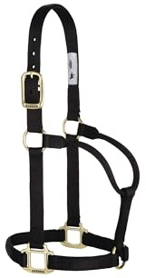 Weaver Leather Original Non Adjustable Halter (Black, Avarage Horse/Yearling Draft)