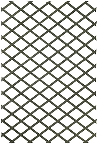 Nature Trellis de Jardin 50 x 150 cm Bois Vert