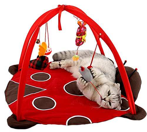 ZuckerTi Neues Katzenbett Katzenzelt Katzenkissen Tierkorb Tierbett Katzen Kitten Interaktives Katzenspielzeug Box mit individuelle Spielzeuge Katze Toys