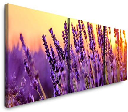SIN-US 74 Lavendel Felder Bild XXL Panorama Deko Wandbilder 150x50cm - 3 Bilder a 50x50cm