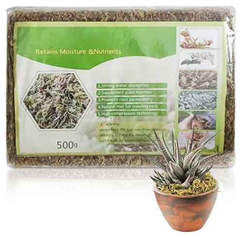 500g Sphagnum Moos, Orchideen Terrarium Blumenerde, Reptile Natürliches Sphagnum Deko, Zimmerpflanzen Feuchtigkeitsspendende Ernährung Organisches Torfmoos für Orchideen und Bonsai Reptilie (1)