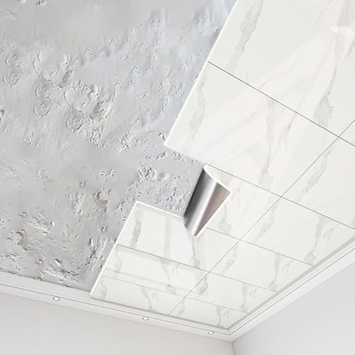 Enigmaire Dalles de Plafond Autocollantes en PVC pour Salle de Bain,Carreaux De Plafond À Décoller Et À Coller,Dalles de Plafond Suspendue en PVC imperméable,pour sous-Sol,Cuisine,Salle De Bain