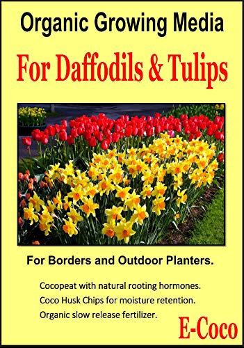 Portal Cool 1 Litro: Orgánica del narciso y Tulip compost, turba del suelo libre para Narciso, Jonquil y tulipanes