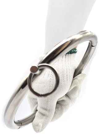 Soarvlorfy 304 Edelstahl Abschließbare Halsreif Halsband mit O-Ring Metall Gay Sklaven SM Collar Kragen Erotik Bondage Halsfessel Erwachsene Sexspielzeug für Männer Frauen Paare,Silber,Ø 13.7cm