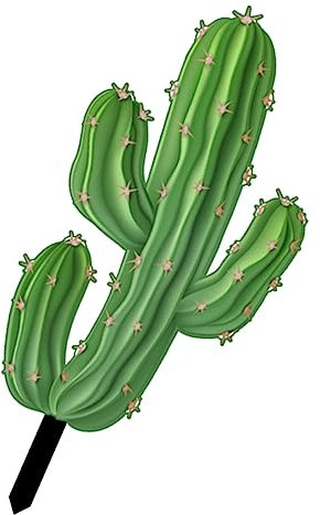 Abaodam Decorazione Giardino Picchetti Acrilico Ornamento Da Giardino Per Cactus Decorazione Inserita Nel Terreno Cartello Creativo