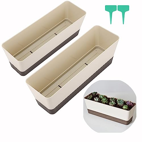 Skelang 2 pezzi Piccolo vaso per piante rettangolari, vaso per piante succulente con fori di drenaggio, Fioriere per tavolino, tavolo da pranzo, tavolo da esterno, davanzale