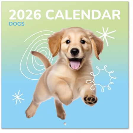 Grupo Erik Calendario 2026 pared Perros - Almanaque pared 2026 : Planificador mensual Con espacio para Anotar, Ilustraciones y Fácil de colgar (30x30cm)