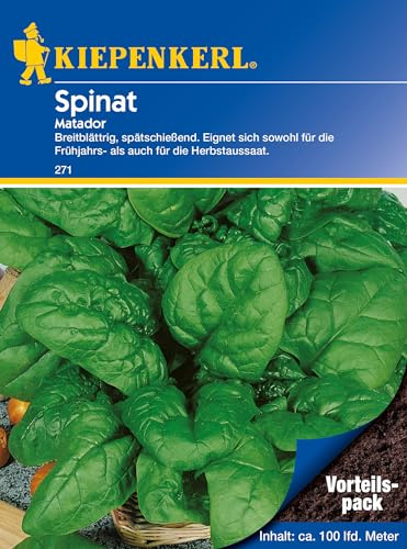 Kiepenkerl Spinatsamen Matador, Vorteilspack groß 271 – Breitblättrig, spätschießend. Eignet sich sowohl für die Frühjahrs- als auch für die Herbstaussaat. Spinat, Gemüse, Gemüsesamen