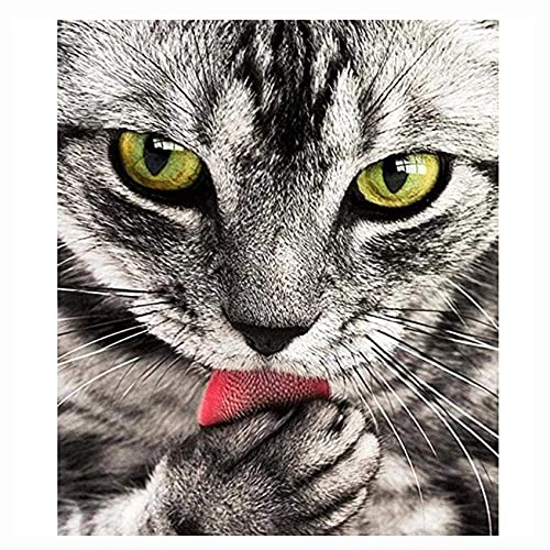 Cukol Kit Punto de Cruz Esquemas Niños Principiantes Tela Impresa Gato, Cuadro Set Kits Bordado Punto de Cruz Kit Completo Hilo y Tela Impreso Contado Patrones a Mano Hacer faciles 11ct