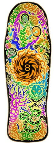 Santa Cruz Skateboard Deck Winkowski Dope Planet Two 10.34