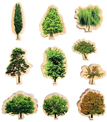 THE Freckled Frog Seasons | Set of 10 | Ages 18m+ | Wooden Tree Blocks | Double-Sided | Wooden Blocks for Toddlers | Trees in Winter, Summer, Autumn and Spring