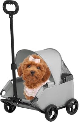 Katzenwagen Welpen Kätzchen Katzen Tiere Outdoor Hundespaziergänge