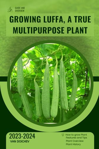 Cauliflower in Your Garden: Guide and overview