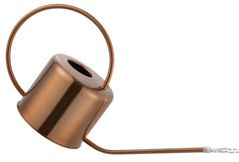 Regadera retro, regadera de 1,3 L, regadera de jardín, regadera de jardín de metal con asa, regadera vintage, regadera decorativa para amantes de las plantas