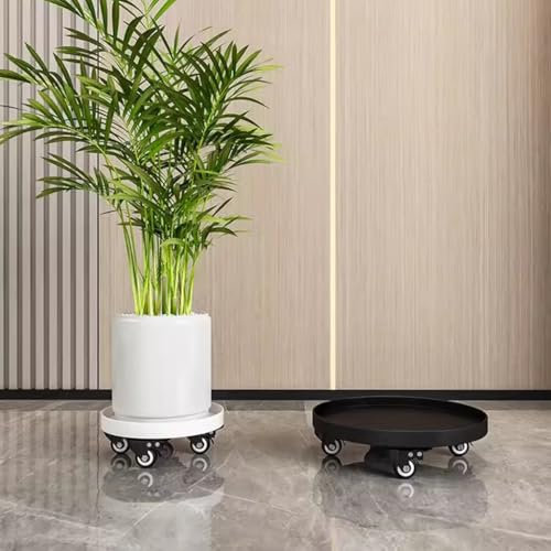Support roulant robuste pour plantes en pot avec roulettes pour pot de fleurs d'extérieur Plateau rond Nero 45 cm