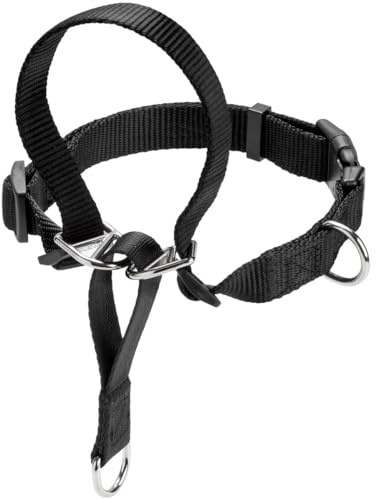 HUNTER Follow Me Ausbildungsgeschirr, Nylon, schwarz, Größe M | Nylon, Erziehungshilfe für leichte Zugmöglichkeit an Nasenrücken und Nacken, Farbe: Schwarz, Größe: M