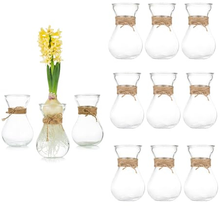 Glasseam Clear Glass Vase for Flowers, Set of 12 Bulb Vase for Forcing Hyacinth Bulbs, Small Vases for Centerpieces, Decorative Bud Flower Vase for Home Decor Living Room Wedding Table Decorations