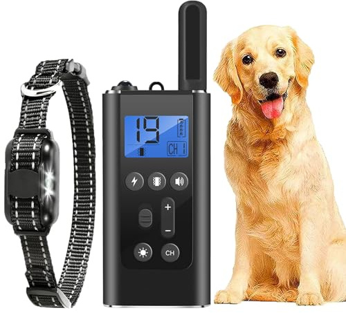 Hundehalsband zur Verhaltenskorrektur, Hundeausbildung, Hund Verhalten Guidance Halsband,Hund interaktives Spielzeug für Hunde Aller Größen - Wasserdicht, Einstellbare Länge für alle Hunderassen (#01)