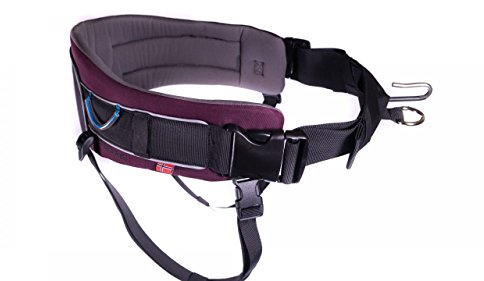 Trekking Belt von Nonstop, Laufgurt,Jogginggurt, Wandergurt für Hunde (M, Purple)