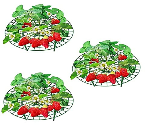 Eerdbeerstützen Ständer, 3Pcs Erdbeeren Schutz & Fruchtreifer Erdbeeren, Abnehmbares Erdbeer-Reifer Erdbeeren Schutz für Erdbeeren Gemüse Tomaten und Gartenpflanzenstütze