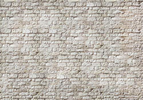 decomonkey Premium Fototapete Steinwand Stein 350x256 cm XXL Design Tapete Fototapeten Tapeten Wandtapete moderne Wand Schlafzimmer Wohnzimmer Ziegel