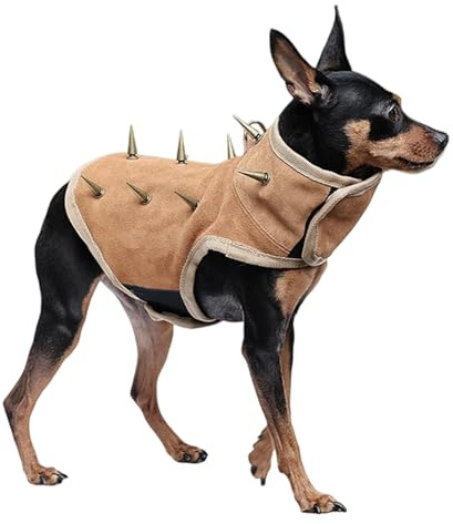Hundegeschirr med Spikes | Stödbar skyddsväst för barn | Hunde-skyddsväst med abnehmbaren Spikes, för träning, vandring, vandring, camping, vattentemperatur, camping och vattning