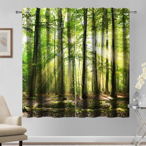 Kzzfqxb 107×160cm Set di 2 pannelli di tende da foresta, paesaggio naturale verde, foresta di giungla, alberi, foglie cadute, tendaggi per soggiorno e camera da letto, isolanti dalla luce