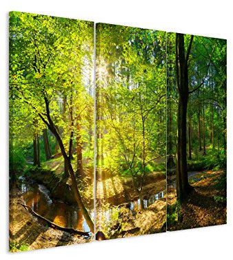 Paul Sinus Art 3 teiliges Leinwand-Bild 3x90x40cm (Gesamt 130x90cm) Landschaftsfotografie – Waldbach in der Sonne auf Leinwand exklusives Wandbild moderne Fotografie für ihre Wand in vielen Größen