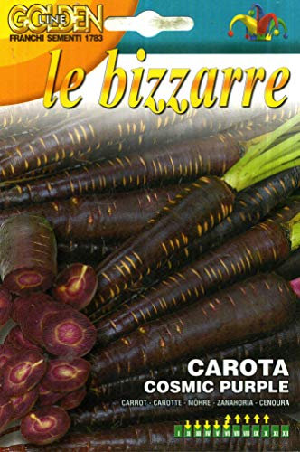 Franchi sementi semi per uso hobbystico linea LE BIZZARRE (CAROTA COSMIC PURPLE (carota viola))