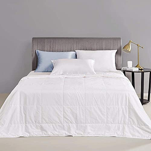 Mommesilk Silk Comforter/Duvet/Quilt, 100% Natural Silk Bedding Blanket, Cool for Summer, Machine Washable White, Full 76x87 Inch