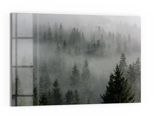 DEQORI Glas-Magnettafel | 60x40 cm cm groß | Motiv Nebelwaldmystik | Memo-Board aus Glas | Magnetboard inkl. Magnete, Stift & Tuch für Küche & Büro | Tafel magnetisch & beschreibbar