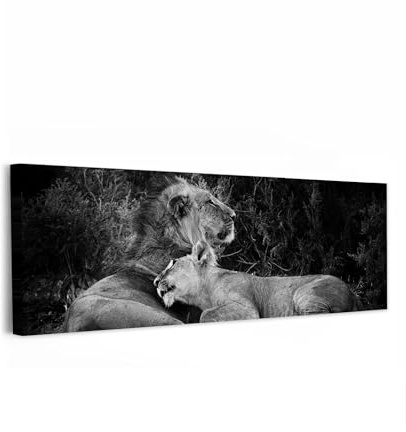 MuchoWow© Leinwandbilder Decoration Bilder für die Wand Schlafzimmer Canvas | 120x40 cm - Painting XXL Wanddekoration Panorama Großes Wandbild Löwen - Raubkatzen - Schwarzweiß - Tiere