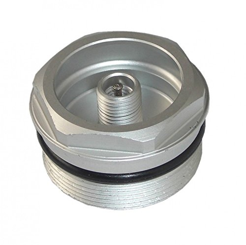 SR Suntour Ventilkappen-Einheit // SF12 Raidon X1 RL-R 26?/29?