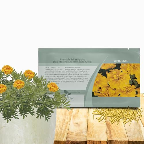 Outsidepride Bonanza Gold French Marigold Seeds - 250 Pcs Annual, Compact, Heat & Drought Tolerant Flower Seeds for Planting w/Double Crested Blooms, Ideal for Vibrant Pollinator Gardens