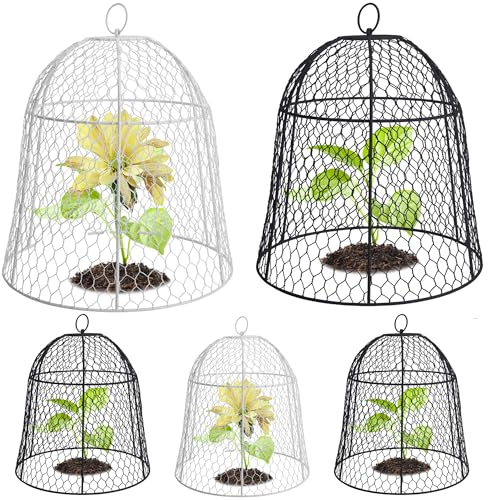 DECOHS Gartenglocke aus Draht, 30 x 30 cm, Eichhörnchensicher, Hühnerdraht, Pflanzenschutzabdeckung für Kaninchen, Huhn, Tiere, Gartendekoration, 5 Stück