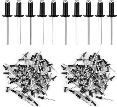 200 Pezzi Pop Rivetti con Testa Larga, 4 x 10mm Rivetti Ciechi in Alluminio Neri, Rivetti Pop Ciechi Rivetti a Testa Bombata, per Aeroplani,Navi,Binari,Fai Da Te,Metallo Legno Plastica (Nero/Argento)