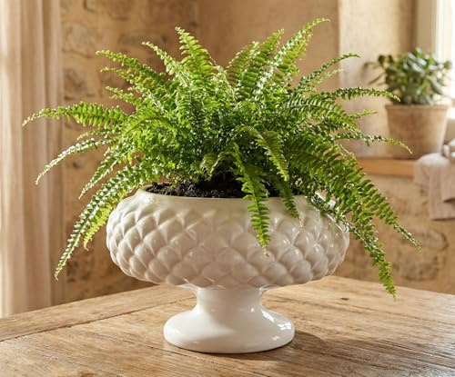 Mondocreazioni Alzata Centrotavola in Ceramica Bianca con Motivo Pigna Stile Siciliano Moderno GIC793