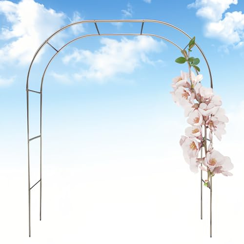 Arche de jardin en acier inoxydable pour plantes grimpantes - Décoration extérieure - Treillage pour jardin - Support élégant pour vignes et fleurs
