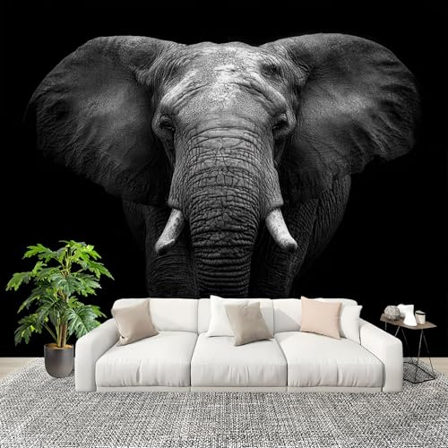 Fotomurales 200x140 cm Animales Elefantes Retratos Decoración Muro Murales Papel Pintado tejido no tejido En Blanco Y Negro Moderna Panoramico Fotográfico Adhesivos Impermeable Papel Tapiz
