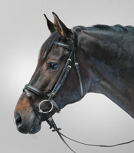 WALDHAUSEN Star Trensenzaum Lifestyle